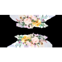WestSide Flowers, Adelaide WestSide Flowers, Adelaide