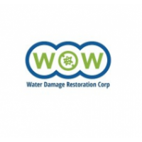 WOW Water Damage Restoration Corp, Hollywood