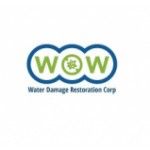 WOW Water Damage Restoration Corp, Hollywood, logo