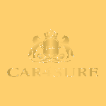 Car4sure, Dubai, logo