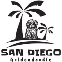 San Diego Goldendoodles, California
