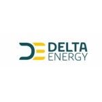 Delta Energy, karachi, logo