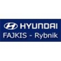 Hyundai Fajkis Rybnik, Rybnik
