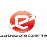 EZabezpieczenia, Poznań, Logo