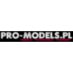 Pro-models.pl, Bydgoszcz, Logo