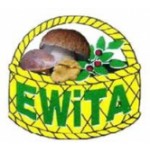 EWiTA, Czersk, Logo
