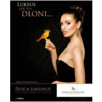 D&M Luxury Advertisement, Kraków