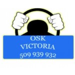 OSK Victoria, Jelenia Góra, Logo