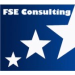FSE Consulting, Sosnowiec, Logo