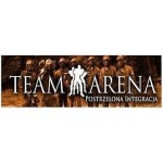 Teamarena, Kraków, Logo