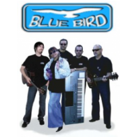 Blue Bird, Bydgoszcz