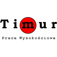Timur, Kraków