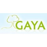 F.H.U. GAYA, Czechowice-Dziedzice, Logo