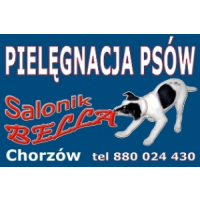 Strzyżenie psów Bella Salonik Pielęgnacji Psów Chorzów, Chorzów