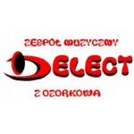 Zespół muzyczny Delect, Ozorków, Logo
