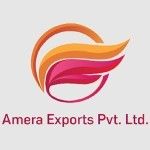Amera Exports Private Limited, Lucknow, logo