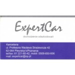 ExpertCar, Plewiska, Logo