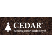 Cedar - Szkółka roślin ozdobnych, Nieporęt