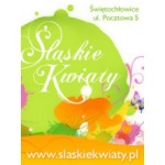 Kwiaciarnia Sląskie Kwiaty, Świętochłowice, Logo