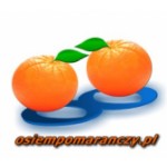 Osiem Pomarańczy S.C., Szklarska Poręba, Logo