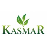 Kasmar Sp. z o.o., Kraków, Logo