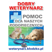 Gabinet Weterynaryjny lek. wet. Dariusz Jaroszewski, specjalista chorób psów i kotów, Kłodzko