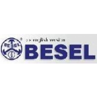 BESEL S.A., Brzeg