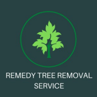 Remedy Tree Removal Service, Berkeley
