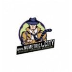 Numetrica City Inc., Ottawa, logo