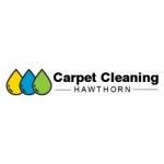 Carpet Cleaning Hawthorn, Hawthorn, logo