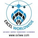 Excel Worldwide Pvt. Ltd., Delhi, logo