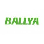 Ballyabio, Guangzhou, logo