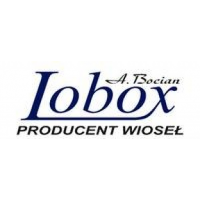 Lobox - Producent Wioseł, Chojnice