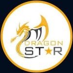 Dragon Star Shipping LLC, Dubai, logo