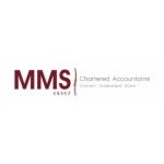MMS Cloud Accounting, Roodepoort, logo
