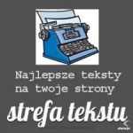 Kamil Naja Strefa Tekstu, Lublin, Logo