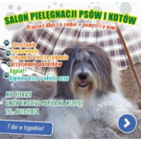 Salon Pielęgnacji psów i kotów Joanna Batko, Limanowa