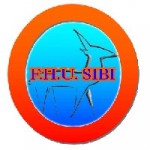 F.H.U. SIBI, Bytom, Logo