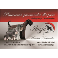 Pracownia groomerska dla psów Iluzja Monika Anitowska, Police