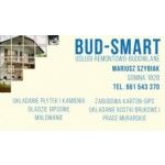 BUD-SMART, Sonina, Logo