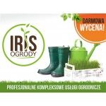IRIS Kompleksowe usługi ogrodnicze, Przeworsk, Logo
