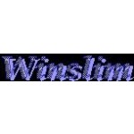 shenzhen Winslim Electronic Ltd., Shenzhen, Logo