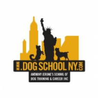 Anthony Jerone Dog Trainer, Brooklyn, NY