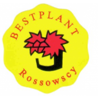 Bestplant Rossowscy, Smolec