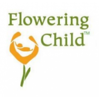Flowering Child Enterprises, LLC, Minneapolis