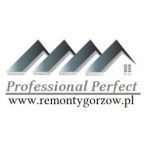 Professional Perfect, Gorzów Wielkopolski, Logo