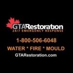 Water Damage Plumber Toronto Mold Removal, Toronto, logo