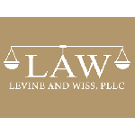 Levine And Wiss, PLLC, West Hempstead, logo
