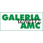 Galeria Wnętrz AMC, Toruń, Logo