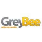 Greybee Active Connection, Starachowice, Logo